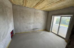 Casa tip duplex, 138 mp utili, cu piscina, 4 camere, Cetate 