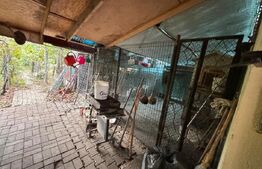 Casa individuala, zona Micesti 