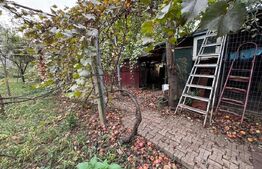 Casa individuala, zona Micesti 