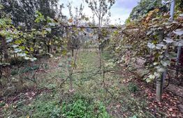 Casa individuala, zona Micesti 