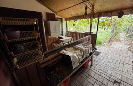 Casa individuala, zona Micesti 