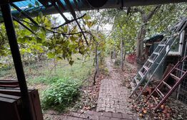 Casa individuala, zona Micesti 