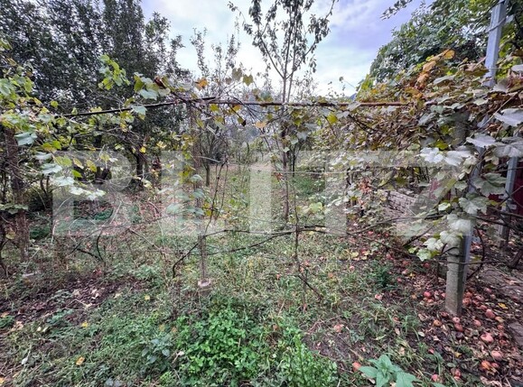 Casa de vânzare 4 camere Micești - 159006CV | BLITZ Alba Iulia | Poza11