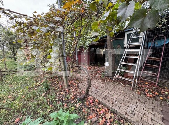 Casa de vânzare 4 camere Micești - 159006CV | BLITZ Alba Iulia | Poza18