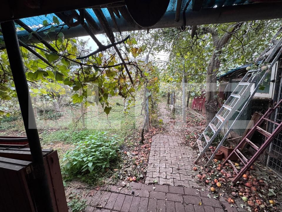 Casa de vânzare 4 camere Micești - 159006CV | BLITZ Alba Iulia | Poza17