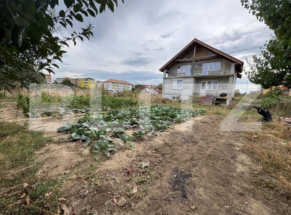 Casa de vânzare 9 camere Ampoi 3 - 159036CV | BLITZ Alba Iulia | Poza2