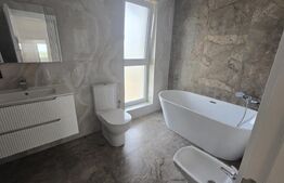 Casa individuala, 4 camere, 119 mp, Micesti