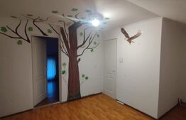 Casa individuala, 108 mp utili, Paclisa