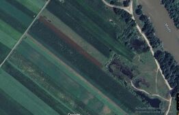 Teren intravilan 5500 mp , Paraul lui Mihai