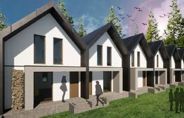 Apartamente perfecte pentru vacanta Arieseni, Apuseni