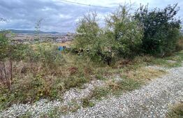 Teren intravilan, 869 mp, Micesti