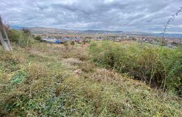 Teren intravilan, 869 mp, Micesti