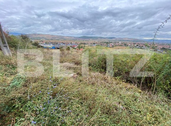 Teren de vânzare Micești - 159212TV | BLITZ Alba Iulia | Poza3