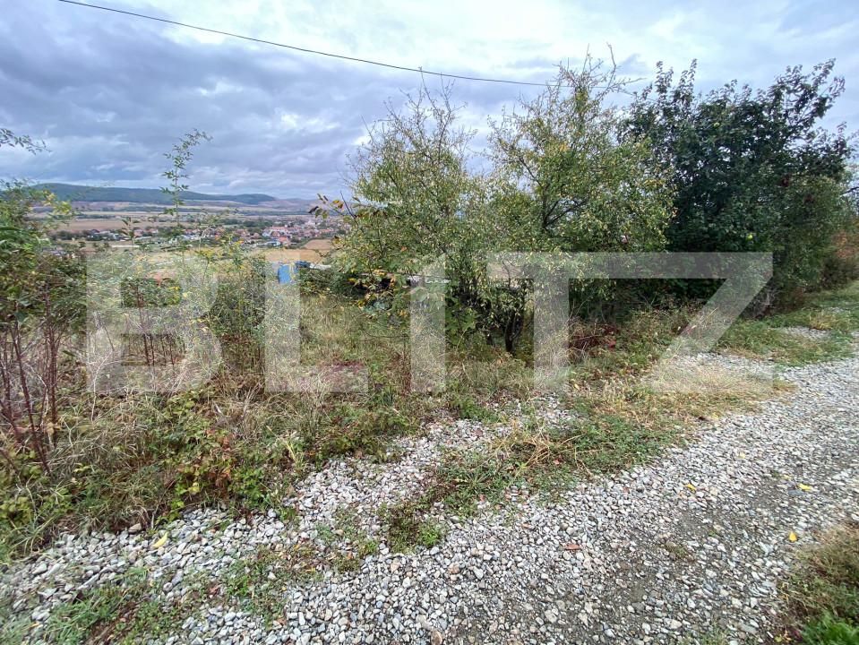 Teren de vânzare Micești - 159212TV | BLITZ Alba Iulia | Poza2