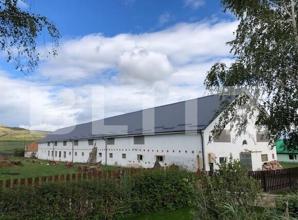 Spațiu comercial de vânzare Rahau - 159220SVC | BLITZ Alba Iulia | Poza2