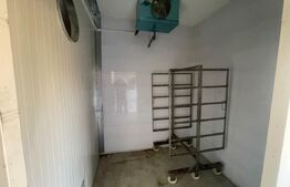 Imobil versatil de vânzare în Ighiu - Ideal pentru locuință sau afacere