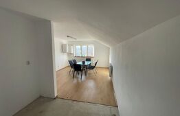 Imobil versatil de vânzare în Ighiu - Ideal pentru locuință sau afacere