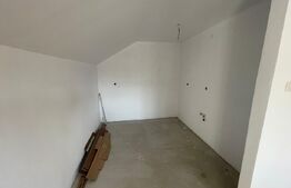 Imobil versatil de vânzare în Ighiu - Ideal pentru locuință sau afacere