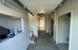 Imobil versatil de vânzare în Ighiu - Ideal pentru locuință sau afacere