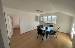 Imobil versatil de vânzare în Ighiu - Ideal pentru locuință sau afacere