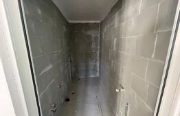 Imobil versatil de vânzare în Ighiu - Ideal pentru locuință sau afacere