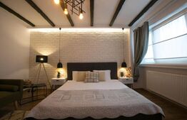 Garsoniera de vanzare 29 mp, posibilitate business, zona M-uri Cetate