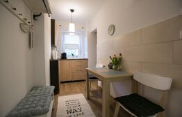 Garsoniera de vanzare 29 mp, posibilitate business, zona M-uri Cetate