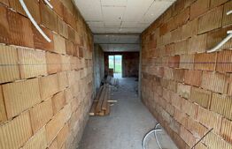 Casa individuala la rosu, zona Micesti