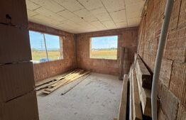 Casa individuala la rosu, zona Micesti