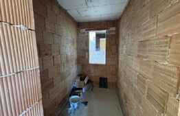 Casa individuala la rosu, zona Micesti