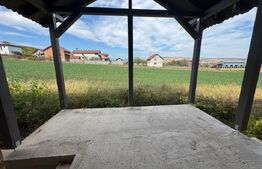 Casa individuala la rosu, zona Micesti