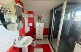 Casă deosebită în zona centrală a cartierului Cetate - Alba Iulia