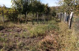 Casa individuala, zona Piclisa, 1750 mp teren