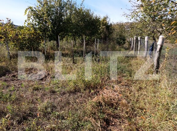 Casa de vânzare 4 camere  Exterior Est - 159391CV | BLITZ Alba Iulia | Poza2