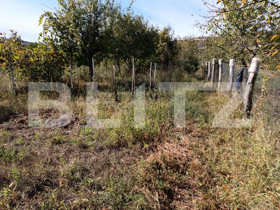 Casa de vânzare 4 camere  Exterior Est - 159391CV | BLITZ Alba Iulia | Poza2