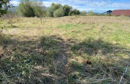 Teren intravilan, 800 mp, Micesti