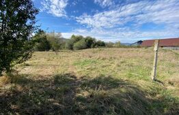 Teren intravilan, 800 mp, Micesti