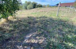 Teren intravilan, 800 mp, Micesti