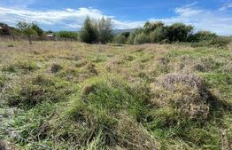 Teren intravilan, 800 mp, Micesti