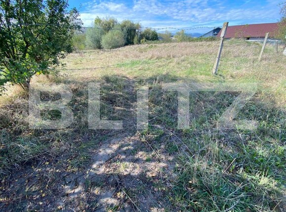 Teren de vânzare Micești - 159414TV | BLITZ Alba Iulia | Poza4
