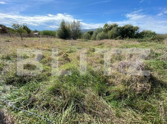 Teren de vânzare Micești - 159414TV | BLITZ Alba Iulia | Poza2