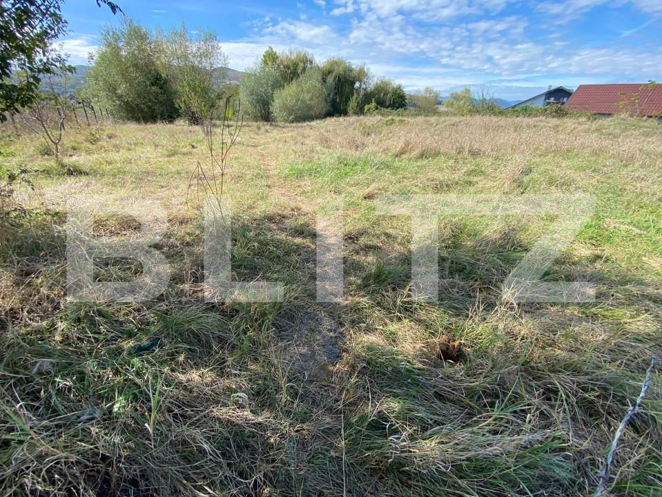 Teren de vânzare Micești - 159414TV | BLITZ Alba Iulia | Poza1