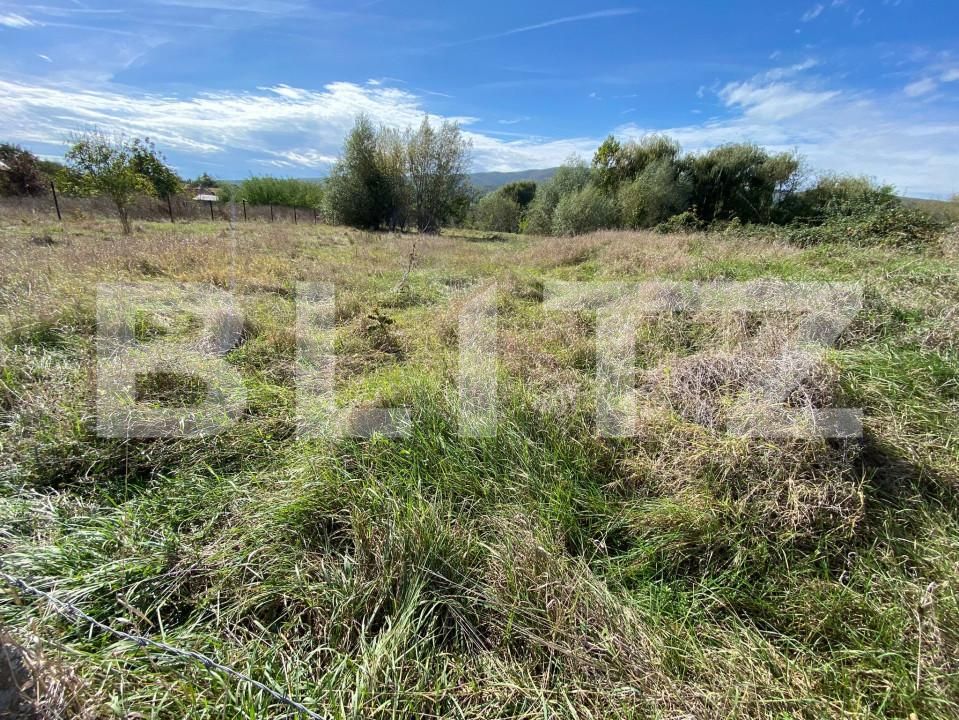 Teren de vânzare Micești - 159414TV | BLITZ Alba Iulia | Poza2