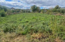 Casa Individuala Sard