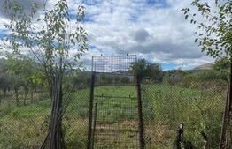 Casa Individuala Sard