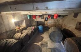 Casa Individuala Sard