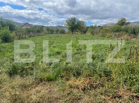 Casa de vânzare 4 camere Sard - 159441CV | BLITZ Alba Iulia | Poza4