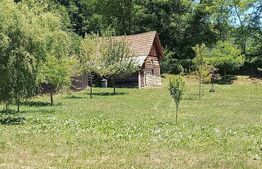 Casa de vacanta 3 camere 5000 mp com. Buces