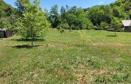 Casa de vacanta 3 camere 5000 mp com. Buces