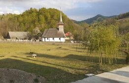 Casa de vacanta 3 camere 5000 mp com. Buces